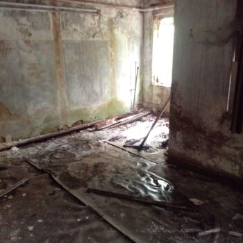 Railway depot in the middle of the "forest" 2024