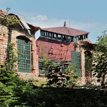 Remembering Elias before the fire