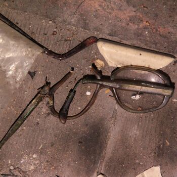 Rieger's Villa Rieger's Villa