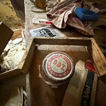 DDT, or the crocodile wasn't home