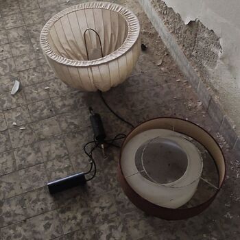 Die Schönheit der österreichischen hor🇦🇹🏔️❤️ Die Schönheit der österreichischen hor🇦🇹🏔️❤️