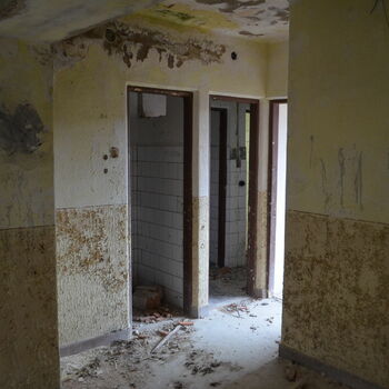 dveře Buňka Architektura zeď budova staré