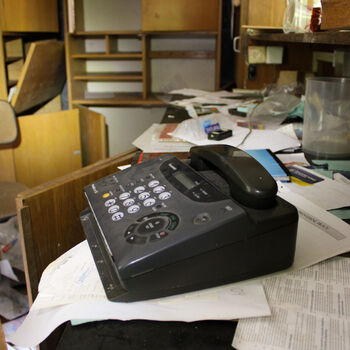 Schimmel für das Mittagessen