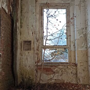 Lung Sanatorium 2024