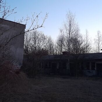 Calf (2025) Calf (2025)