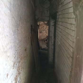 House with enclosed yard