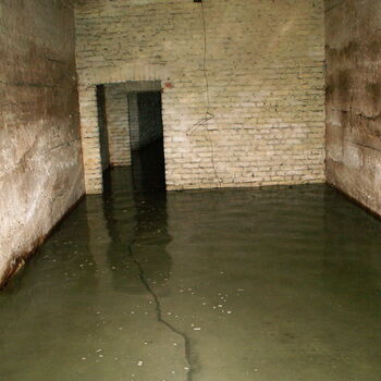 Richard Underground Factory