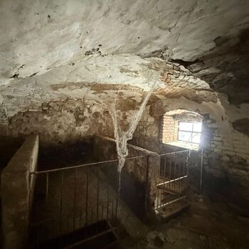 DDT, or the crocodile wasn't home