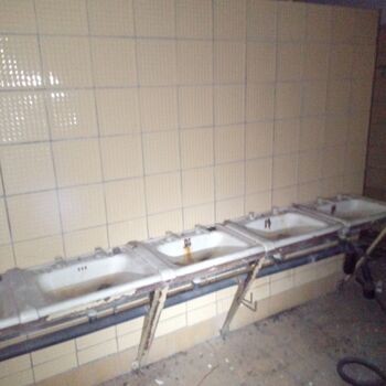 Railway depot in the middle of the "forest" 2024