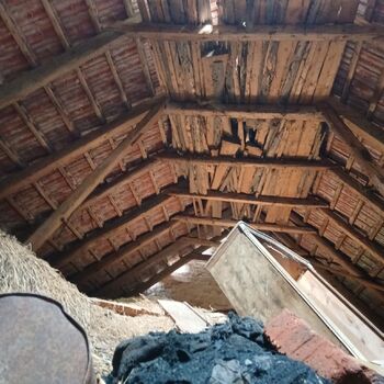 Homestead with a pond