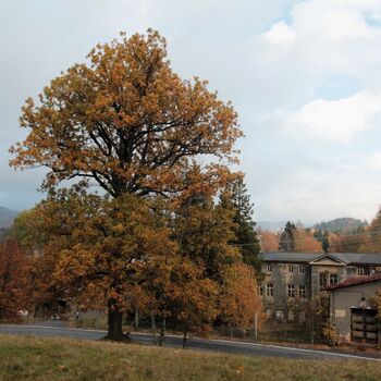 Metalworking company