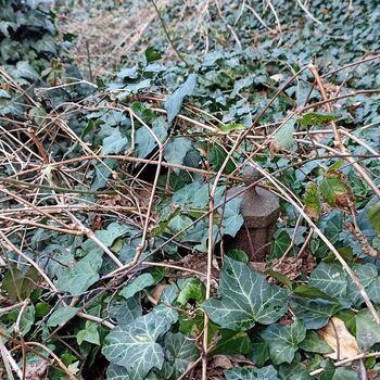 Jüdischer Friedhof 2024