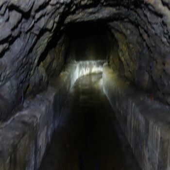 pták obratlovců Strunatci otvor