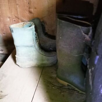 ! a house with HARMON