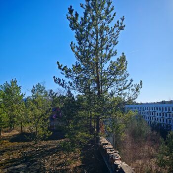 Verlassene sowjetische Wohnsiedlung Verlassene sowjetische Wohnsiedlung