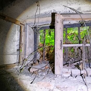 das Schloss, das jeder kennt...