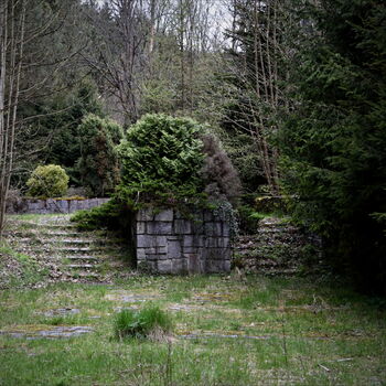 strom Les krajina zahrada