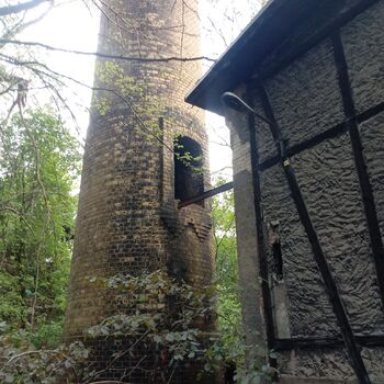 Railway depot in the middle of the "forest" 2024