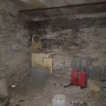 cell basement
