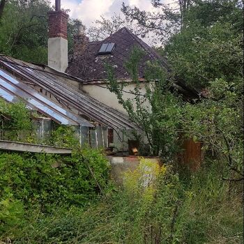 Haus von H.Z 🌿🪴🏚️ Haus von H.Z 🌿🪴🏚️