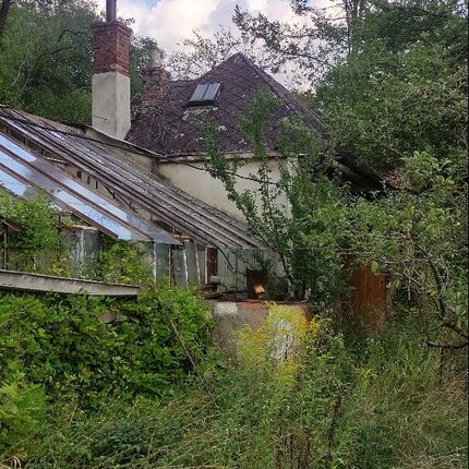 House of H.Z 🌿🪴🏚️ House of H.Z 🌿🪴🏚️