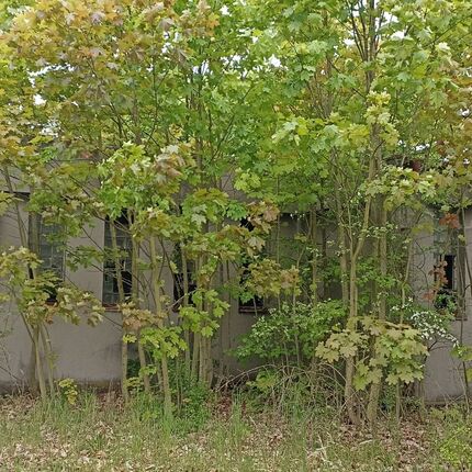 Nevím co 2023 Nevím co 2023