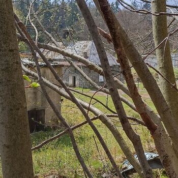 Ocelárny Julia 2023