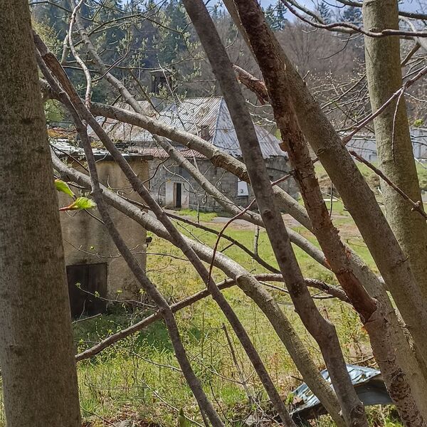 Ocelárny Julia 2023