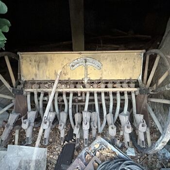 ᴅᴏᴍᴇᴋ ꜱ 🗡️