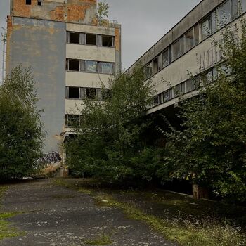 ɴᴇᴍᴏᴄɴɪᴄᴇ ɴᴇᴍᴏᴄɴɪᴄᴇ