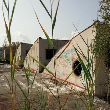 birdhouse shelter protective covering birdhouse shelter protective covering