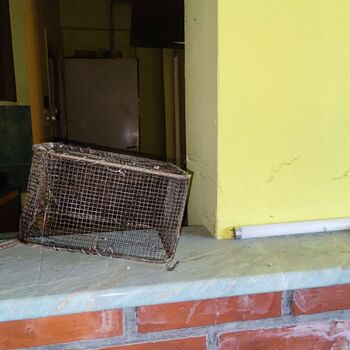 Hotel in Hungary_2023