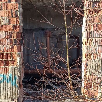 Lung Sanatorium 2024