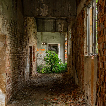 Landwirtschaftliche Fläche