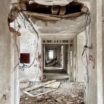 Aunt Omega, or I Believe in Fairies