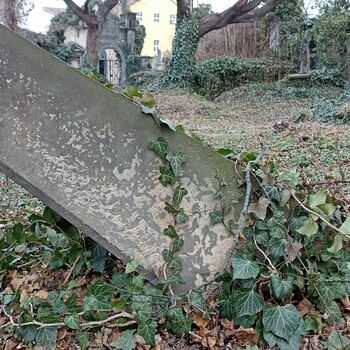 Friedhof 2022 Friedhof 2022