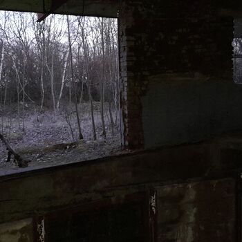 Calf (2025) Calf (2025)