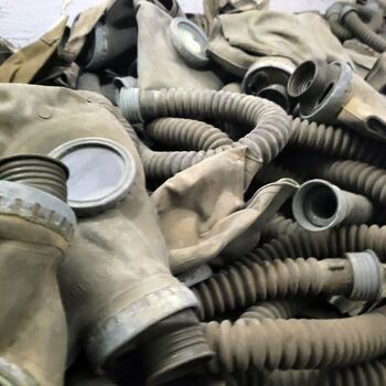 Ein Welpe mit Rüssel