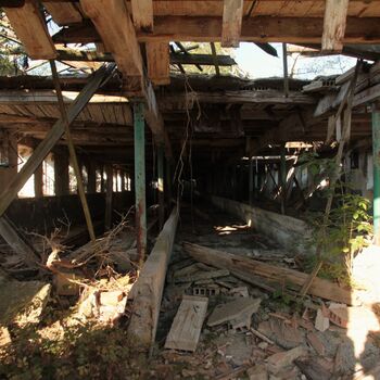 Landwirtschaftliche Fläche mit Hopfentrocknungsanlage 2023