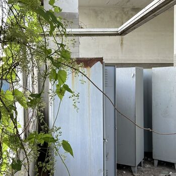 ππ―ππ¦π« ππ±ππ±π¦π¬π« βπ·π’π π₯ π ππ―ππ¦π« ππ±ππ±π¦π¬π« βπ·π’π π₯ π