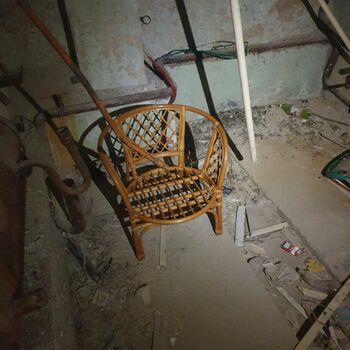 step support device structure