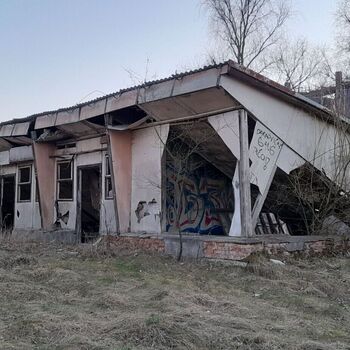 Calf (2025) Calf (2025)