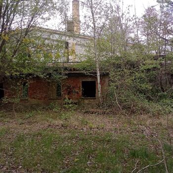 Railway depot in the middle of the "forest" 2024