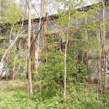 Railway depot in the middle of the "forest" 2024