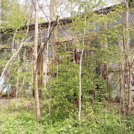 Railway depot in the middle of the "forest" 2024 Railway depot in the middle of the "forest" 2024