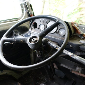 Už asi nevyjedou...