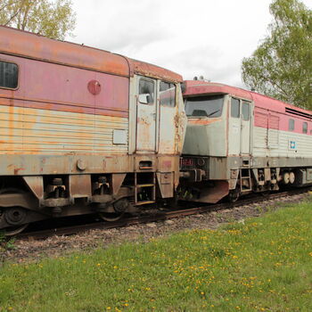 Cargo-Friedhof, nicht nur ein Bardot Cargo-Friedhof, nicht nur ein Bardot