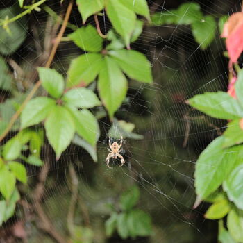 Barrandovské ohlédnutí