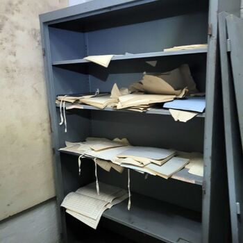 Ein Welpe mit Rüssel