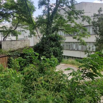 Military Hospital Patrónka 🏥